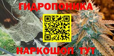 метадон Лесосибирск