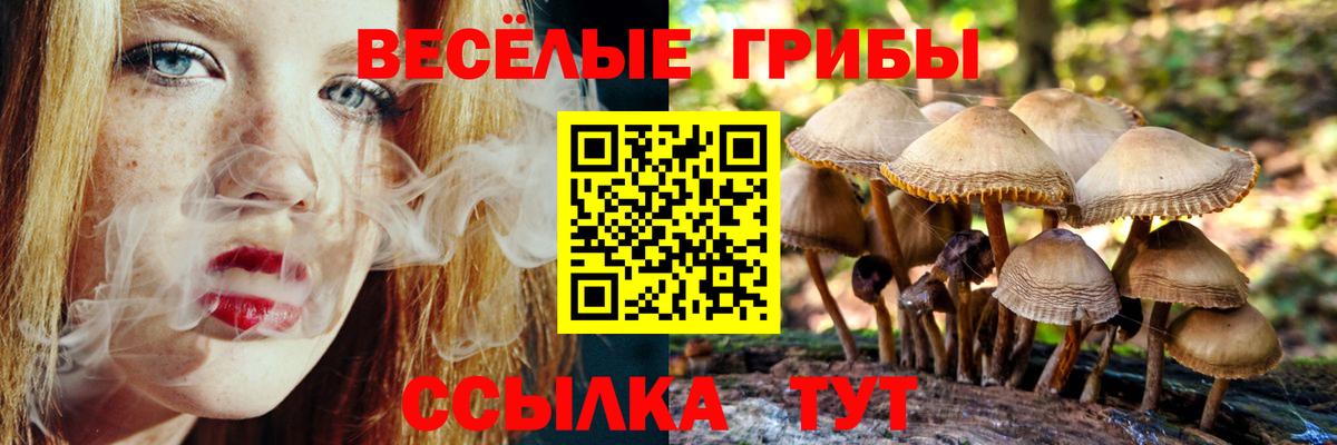 Галлюциногенные грибы GOLDEN TEACHER Зерноград
