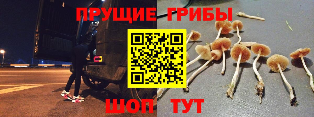 Галлюциногенные грибы Psilocybe  Галлюциногенные грибы ЛСД  Зерноград  Вход с VPN 
